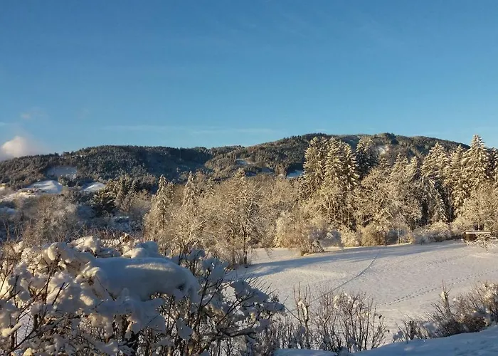 Dom wakacyjny Haus Jana Hermagor-Pressegger See